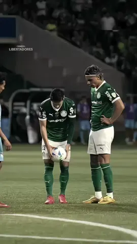 Raphael Veiga//Palmeiras 6 x 0 Sporting Cristal//Conmebol Libertadores 2025//quem tá no toque é ele mesmo dj will ps... | #libertadores #sepalmeiras #raphaelveiga |