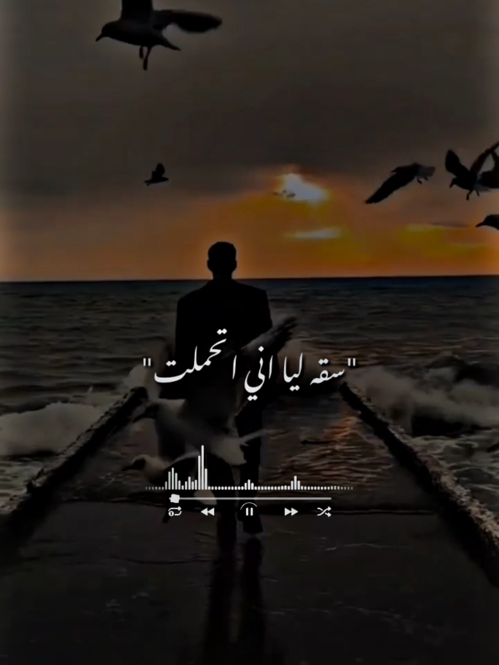 سقفه ليا اني اتحملت #حالات_واتس #تيم_التيكتوكر_🔱🖤 #youssef_istory #الشعب_الصيني_ماله_حل😂😂 #foryou 