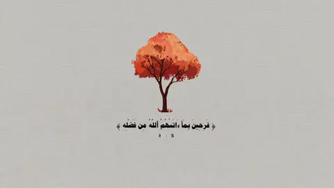 ياربّ شعور هذه الآية: (فَرِحِينَ بِمَا آتَاهُمُ اللَهُ مِنْ فَضْلِهِ )🍁🍂#قران_كريم #المنشاوي #اللهم_فرحة_تبكي_العيون #foryoupage #tiktokindia 
