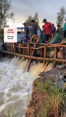 #tiktoklive #livehighlights 