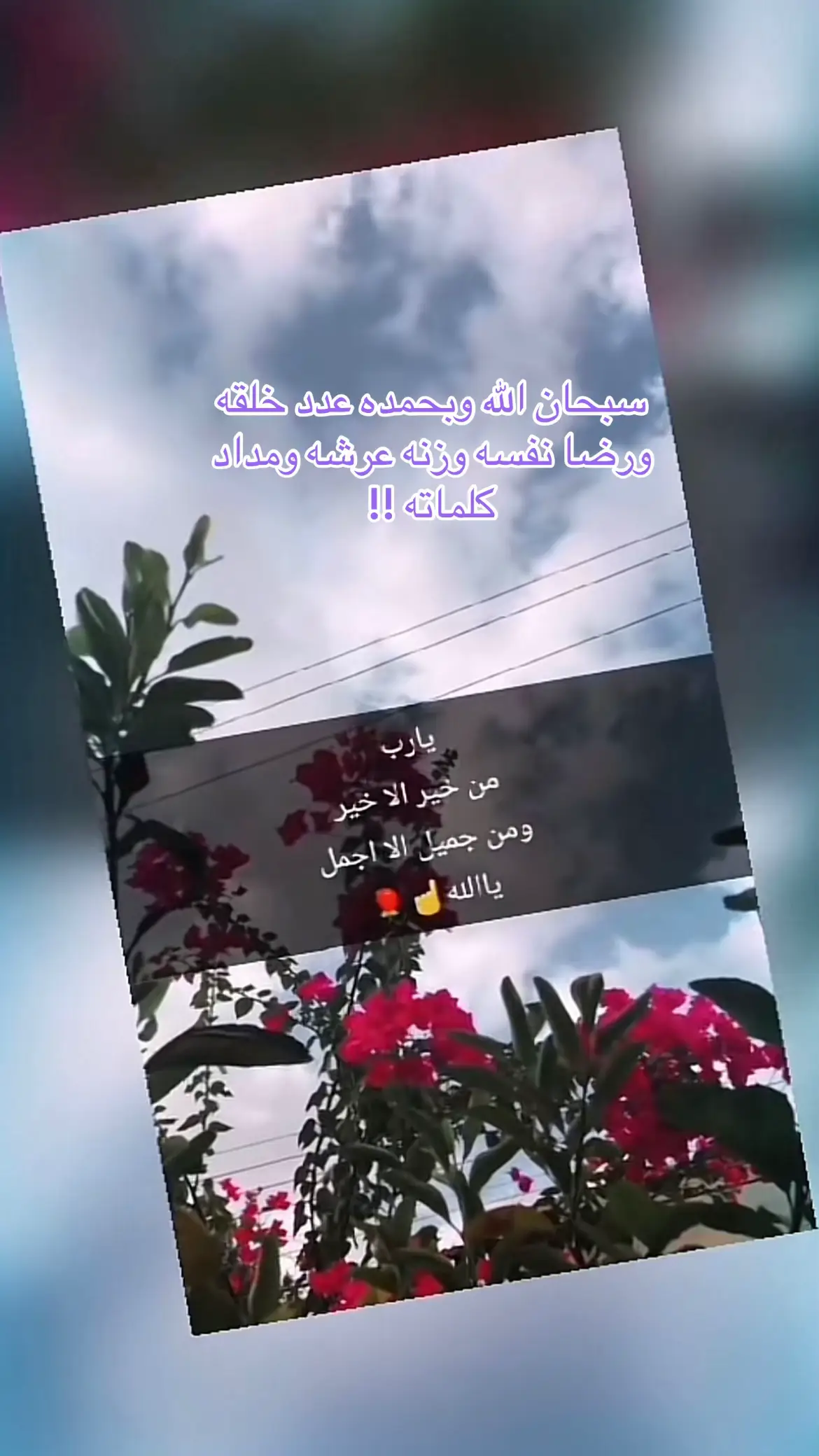 لا اله الا الله - #اكسبلور #اكسبلور 💜