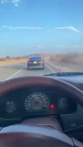 ددسن 2015 تعالو البايو الاصفر 😻❤️‍🔥