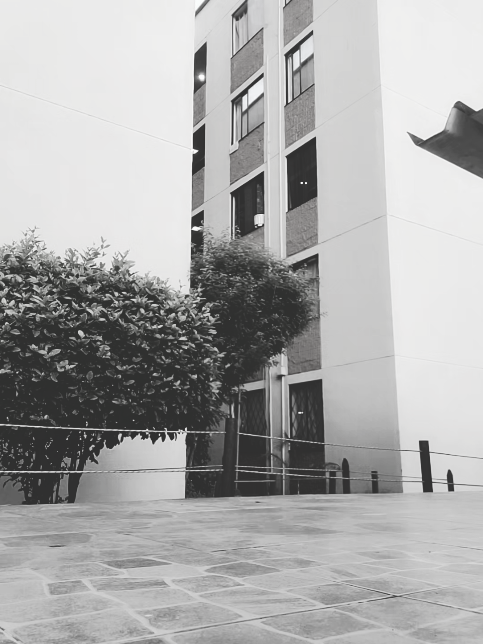 Nos toco a nosotras pq con ellos no se puede @𝓖.  DC:🙋🏻‍♀️ #dance #bachata #imitadora #fyppppppppppppppppppppppp #pareja 