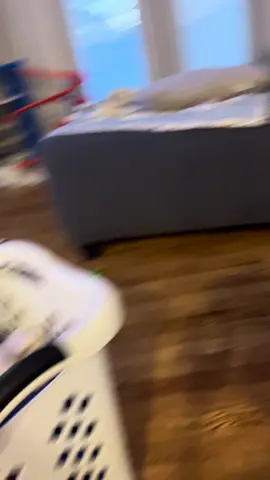 #tiktok#dogs #trending 