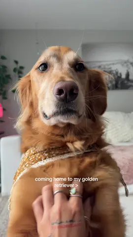 nobu dinner!!! @Maev use code “COBY20” to save! 