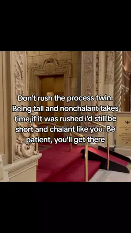 don't rush twin #dontrush #bepatient #lebron #dukedennis #fyp