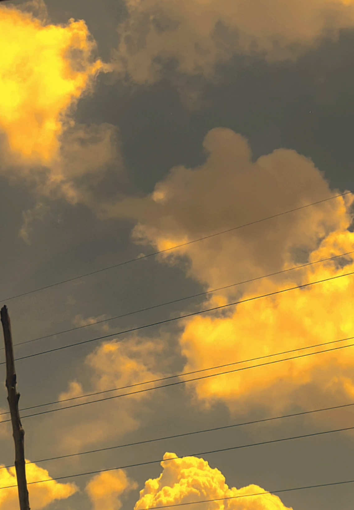 #quotes #arabicsong #arabic #langitaesthetic #fyp 