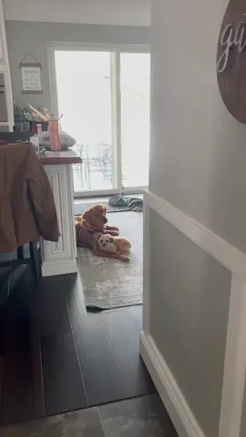 Mama Peach protects her family 🫶🏻 #dogsoftiktok #taylorswift #goldenretriever #trending #fyp 