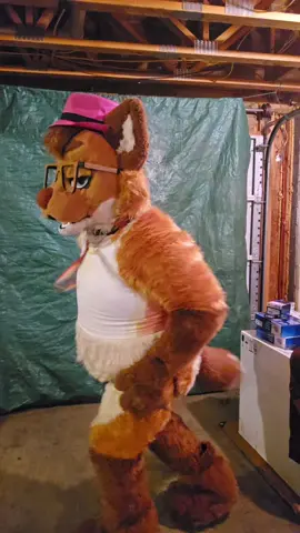 Ardy is officially a year old fursuit! Well, I should specify that he's been completed for a year. I briefly possessed him when he was just a foam base lol. But, this furry's fursuit is a year old! Yippee!!! #furry #fursuit #fox #fyp #cute #furries #foxfursuiter #fursuits #fursuiter #foxfursona #foxfurry🦊 #foxfurry  #foxfursona #foxfursuit #furryfandom #furrytiktok #fypシ #foryoupage #oc #furrytiktok #furrycommunity #furryfriends #furryfyp 
