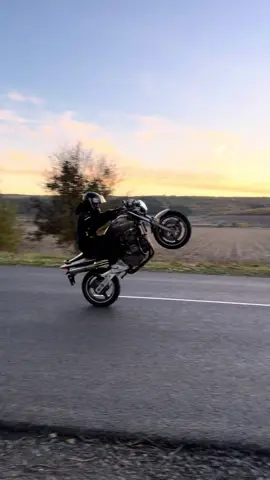 Базовый минимум😍#honda #hornet #fyp #foryoupage #foryou 