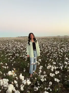 #likeandcomment #jesuslovesyou #LLBC🤍🕊️ #fyp #cottonfieldsession 