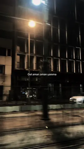 #tanrıdandiledim #kurtlarvadisi #elifpolat #gelamanaman #fyp 