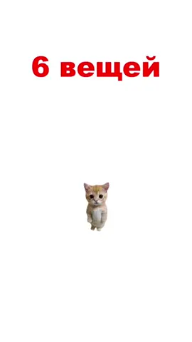 6 вещей что бы понять что парень в тебе заинтересован #котята #кот #коты #6 #6вещей #fyp #fyppppppppppppppppppppppp  #грю #гадкийя #ху #грюхуй 