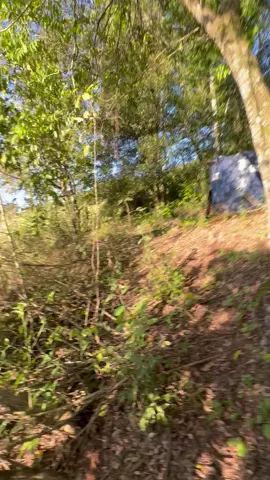 #f #fy #fyp #fyppppppppppppppppppppppp 