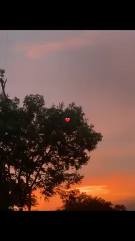 Belleza 😍#losbukis #atardecer #paratii #rolitas #fyp 