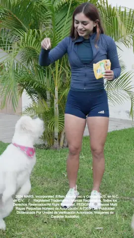 Cuéntenme la historia de cómo conocieron a sus perritos y por qué les quieren agradecer?  🐶🐶🐶💕 @pedigree_mx  #pedigree #35AñosGraciasaATi #publicidad https://www.pedigreepromo.com.mx/