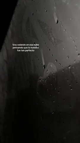 Y la verdad, esa blanquit.💞 #fyp #xbycza #lasantagrifa #santagrifa #musica #calle #ylaverdad