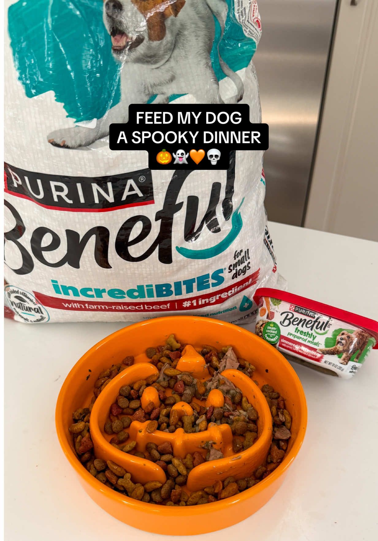 #ad Feed my dog a spooky themed dinner 👻 Making mealtime for Meeko festive & fun by building her a Halloween themed dinner with her Beneful 🎃 She loves the taste, and we love that it’s made with real meat and added vitamins & minerals to support her overall health & wellness. #BenefulPartner 