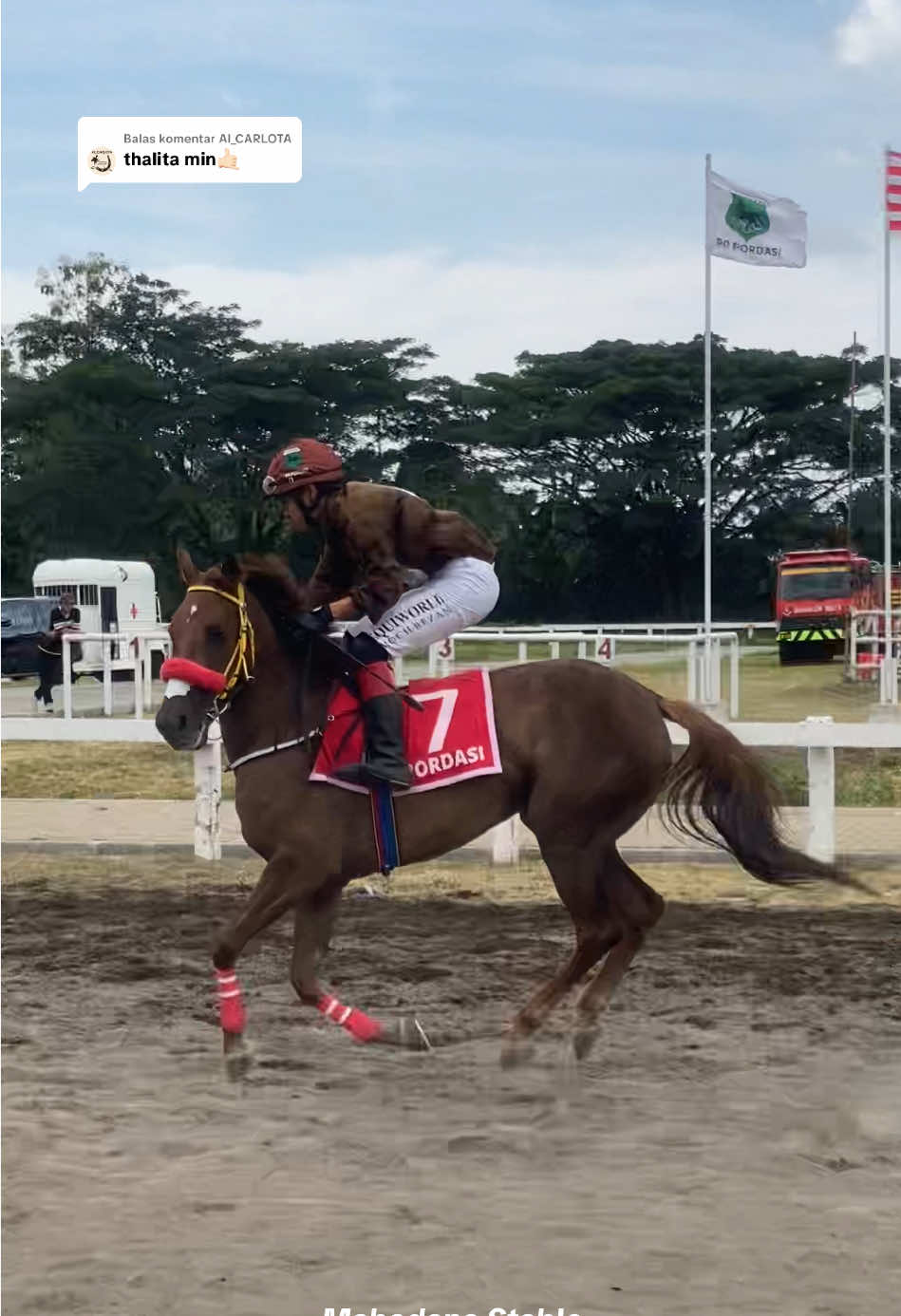 Membalas @AI_CARLOTA Thalita kelas F heat.1 Penyisihan kejuaraan nasional pacuan kuda pordasi ke-59 seri-2 tahun 2025 @A F I P I N C U K 🐎 #mahadana_stable #mahadanastable #sarga #pordasi #pacuankuda 
