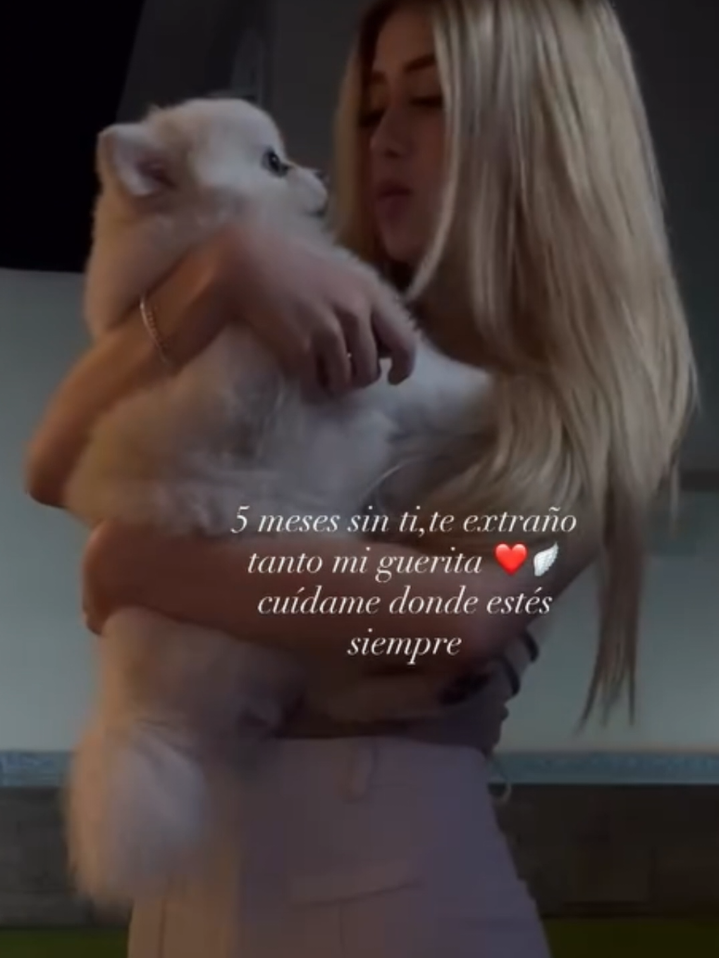 5 meses sin ti 😭 5 meses sin justicia, las personas que te hicieron esto están libres viviendo la vida en una injusticia sin fin, nunca he visto un país tan corrupto como México  VALERIA MARQUEZ 😇❤️💔 JUSTICIA 🙏🏽.. #justica #valemarquez #mexico🇲🇽  #jalisco #guadalajarajalisco🇲🇽 