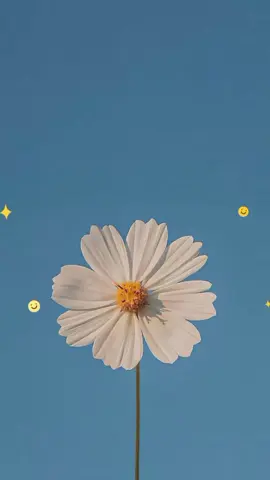 Dance se souber tik tok 2025 atualizadas🎡❤️#coreografiastiktok #dancasdotiktok💃 #dancasdotiktok💃 #dancinhasdotiktok #dancinhasdotiktok2025 