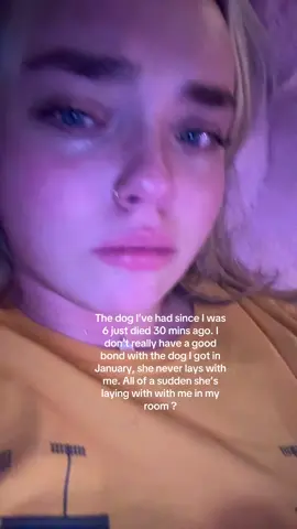 Idk I’m grieving okay #dog #rip #petdeath #greif #petloss 
