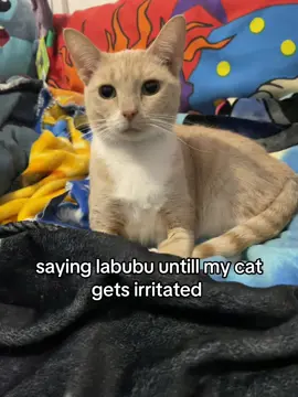 #fyppppppppppppppppppppppp 