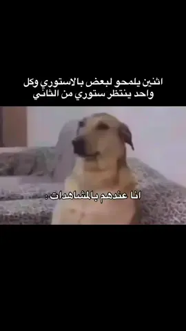 #fyp #explor #اكسبلور #الشعب_الصيني_ماله_حل😂😂 #ضحك 