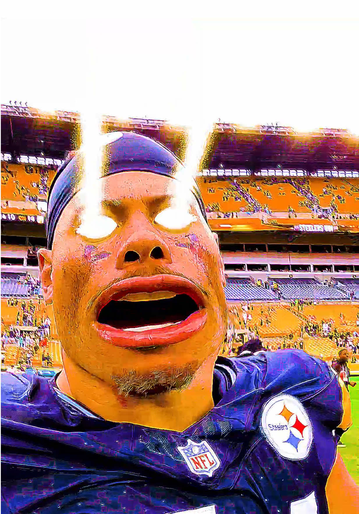 a buncha dawgs #steelers #dogs #nfl #victorymonday 