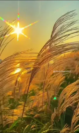 #tusiabrauyug #TikTokAwardsVN #awkhosiabkawg #manh200? #manhkhaubhlaab 