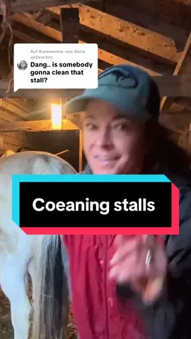 Antwort auf @Anita that’s me! I clean the stall 😁 rough board means I have a barn provided, but supply hay, bedding, grain and the labor myself ❤️ #horses #barn #roughboard #cleaning #work 