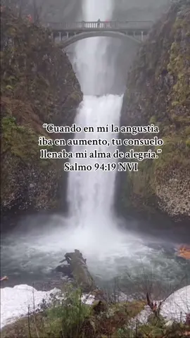 Dios nos manda en su Palabra que lo amemos con nuestra mente y con nuestros pensamientos. ¡Qué importante es que, como hijos de Dios, pensemos bien! ¡Y qué difícil que es lograr eso! A veces, a pesar de tantas promesas que tenemos en la Palabra de Dios, vivimos los días sin disfrutar, como dice el salmo 16:11 (RVR): “delicias a su diestra para siempre”. El Salmo 94:19 (DHH) dice: “En medio de las preocupaciones que se agolpan en mi mente, tu me das consuelo y alegría”. Debemos cuidar nuestra mente, no debemos permitir que las preocupaciones se agolpen en ella, ni que nos derroten. Pensar bien, entonces, se vuelve como un músculo que necesita ejercicio para desarrollarse y trabajar mejor. El Señor, muchas veces, permite ciertas situaciones justamente para poder caminar sobre las aguas y que aprendamos, en definitiva, a mirarlo a Él mientras lo hacemos, sin ser atemorizados por cualquier tormenta. El Salmo 119:32 (CST) afirma: “Corro por el camino de tus mandamientos, porque has ampliado mi modo de pensar”. Dios había ampliado el modo de pensar del salmista, y por eso corre a los mandamientos y a lo que el Señor ordena. Tener amplitud de mente para el Señor nos permitirá poder vivir pensando bien, sin ser derrotados por preocupaciones y cumplir así el mandamiento de amar a Dios con nuestra mente.