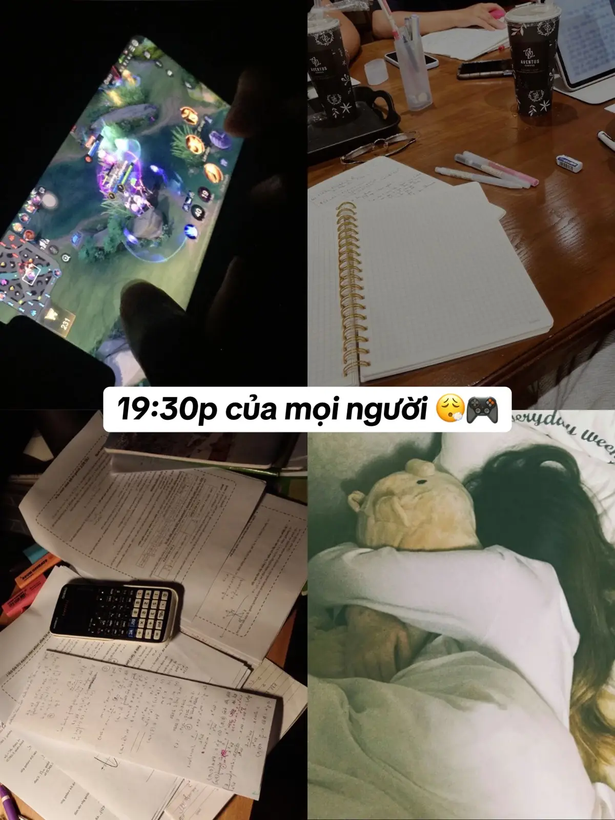 #dtvn #doanhdinh #camxuc #vietnamtoiyeu #xh 