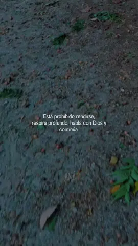 #CapCutMotivacional #CapCut 