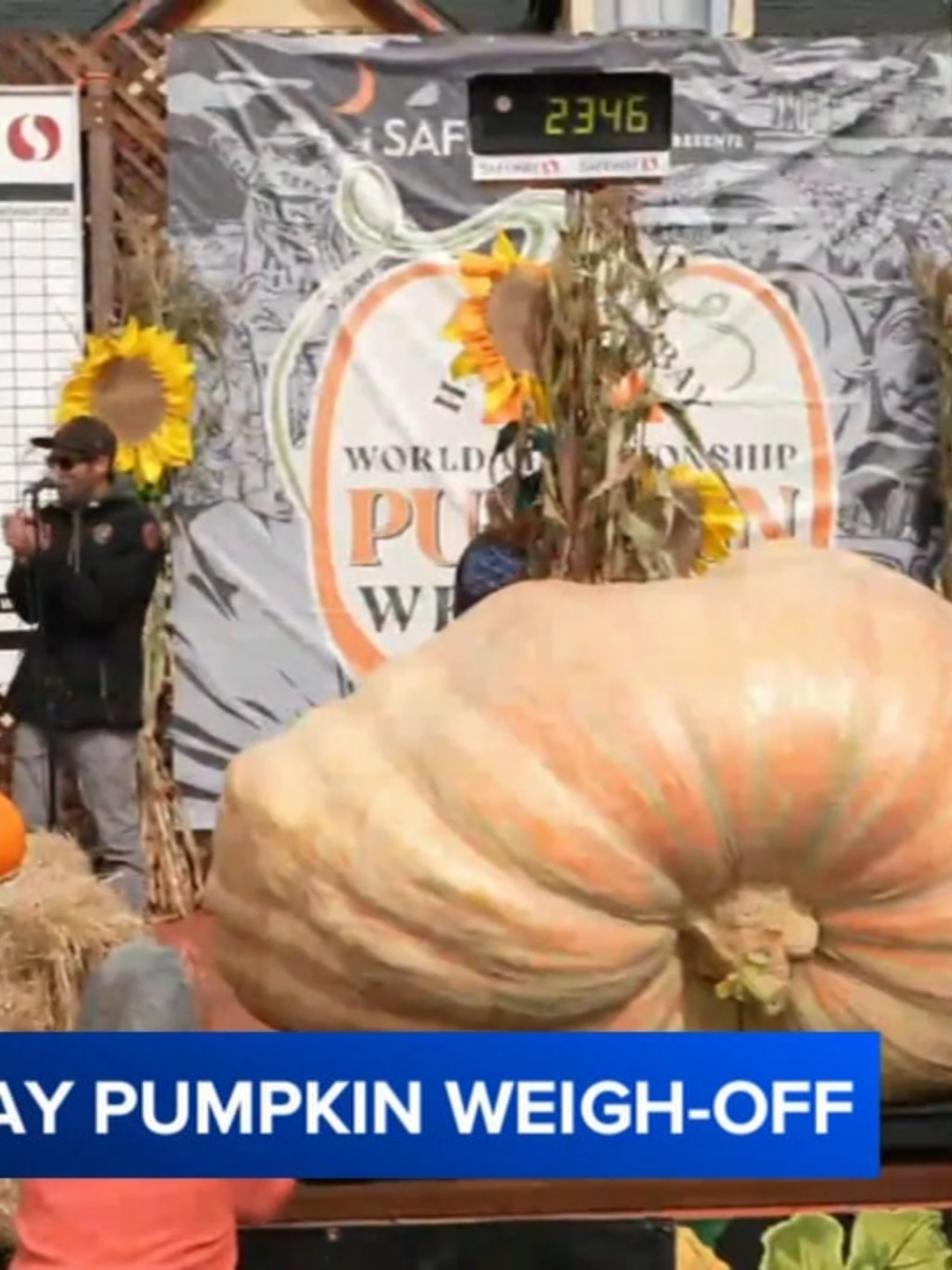 GOOD GOURD! 🎃 The annual World Championship Pumpkin Weigh-off in Half Moon Bay brought together gourd growers from across the country to see who managed to grow the heaviest pumpkin. Brandon Dawson, a grower from Santa Rosa who was runner-up last year, has won it this year with a pumpkin weighing 2,346 pounds. #pumpkins #halfmoonbay #pumpkinweighoff #pumpkinseason #abc7news