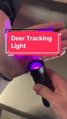 Deer Hunter Tracking Light #bloodtracker #deertracking #deerhunting #hunting #huntinggear 