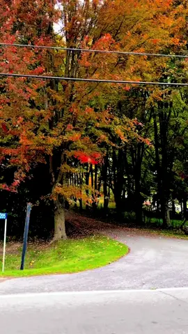 #autumn #autumnvibes #october #fallincanada #foryou 