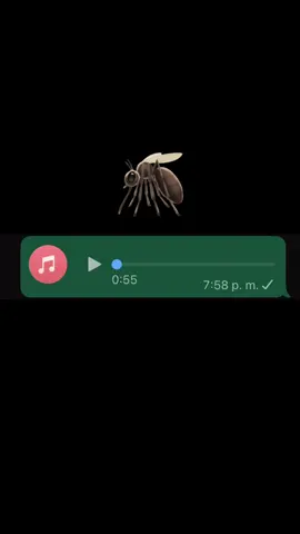 DIAMONDS RIHANNA: VERSIÓN MOSQUITO 🦟🤣🤣🔥#audiodewhatsapp #rihanna #diamonds #viraltiktok #memes 
