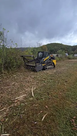 #bigboytoys #fecon #forestrymulcher #newhollandskidsteermulcher #tractor @feconllc @New Holland Agriculture 