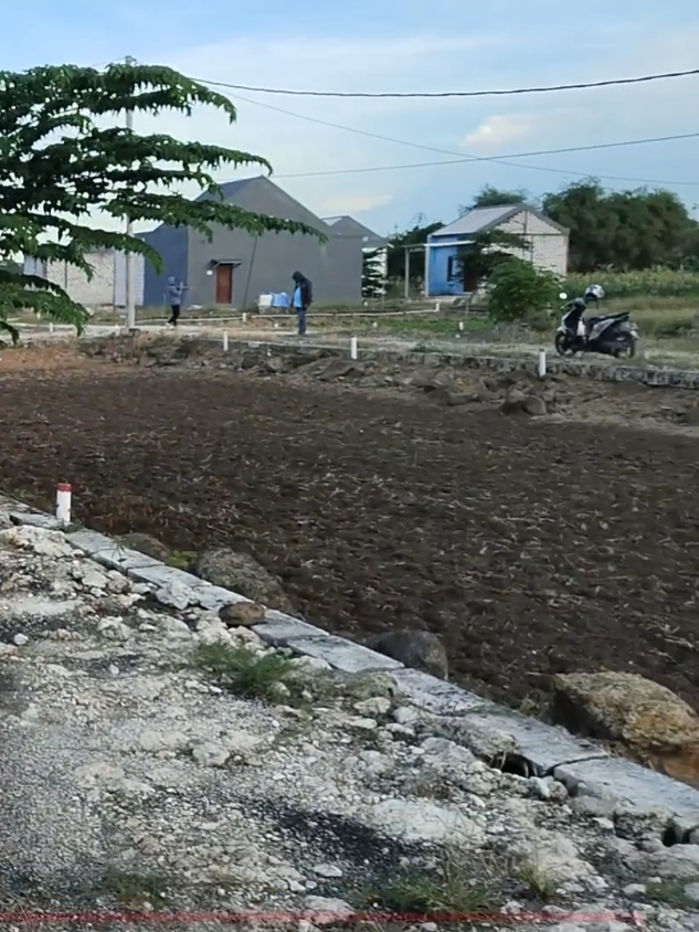 *Barangkali panjenengan minat Blok A Nomer 9 Posisi strategis Agak Depan* - Harga 84.000.000 Ukurannya 5x11 Bisa Kredit Dp 15 Juta 😊 .....  *Perinciannya Sebagai Berikut* ✅ *Kredit Dp 15 Juta*  Harga 84.000.000 - DP 15 = 69.000.000   69.000.000  ÷ 48× = 1.437.500  Angsuranya - Tenor nya selama 4 tahun. 📍Lokasi desa Gempol Lampah Barat Menganti Kedamean Gresik Perbatasan Surabaya Info Marketing - 08999020012 Sandiago #tanahkavlingmurah #tanahkavlingmenganti #tanahkavlingkedamean #sandiagoproperty #property 