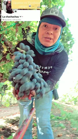 #fypシ゚viral #enparati #fyp #yourpage #hijaluchona1 