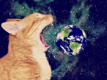 heh cat #galaxy #cat #animal #fyp #xyzabc