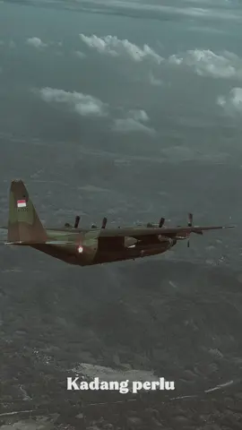 Unicorn 36 🤟🤟 #storypesawat #hercules #c130hercules #penikmatsenja #sulawesiselatan 