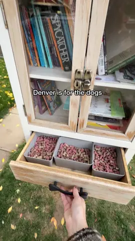 when I die, please let me come back as a Denver dog #denver #denvercolorado 
