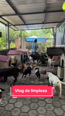 Solo un pedacito de todo el trabajo 🫣 me faltaron dos áreas más 