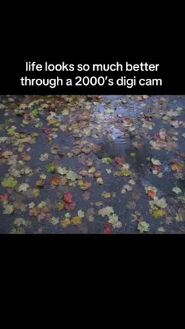 forever my favorite look #digitalcamera 