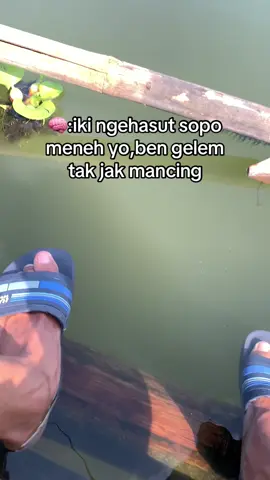 🙂‍↕️ #sumuruptuntang #mancing #fypage #fyppppppppppppppppppppppp 