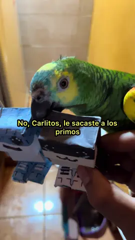 Los primos….