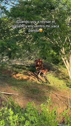 #🦦 