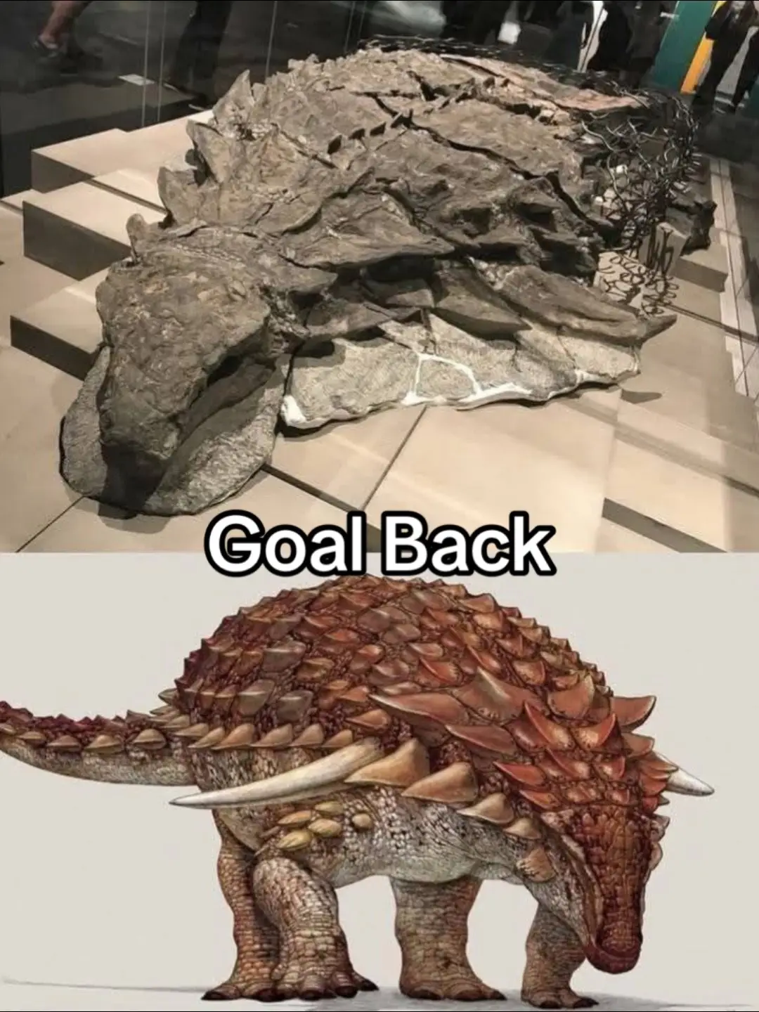 Just be a dinosaur nerd… brutal 🥀  @POWERWING  USE CODE : DUMMYLIFTS #ankylosaurus #back #goal #physique #gym